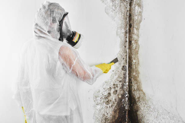 Best Crawl Space Mold Removal  in Inverness, CA