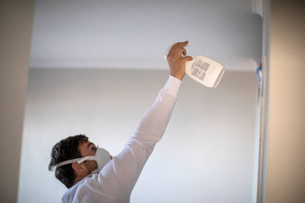 Best Local Mold Removal Service  in Inverness, CA