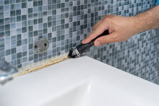 Mold Removal and Inspection in Inverness, CA