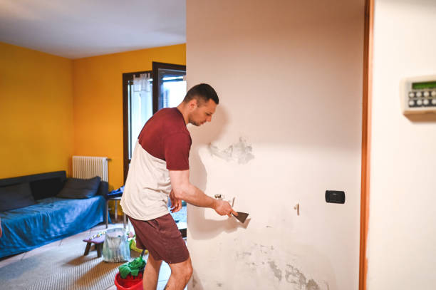 Best Mold Damage Repair  in Inverness, CA